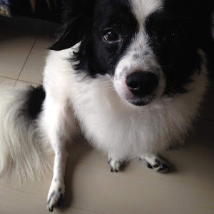 Meet your Posher, Nadit